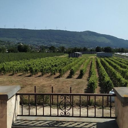 Agriturismo Il Casale Del Cavaliere SantʼAgata deʼ Goti Bagian luar foto